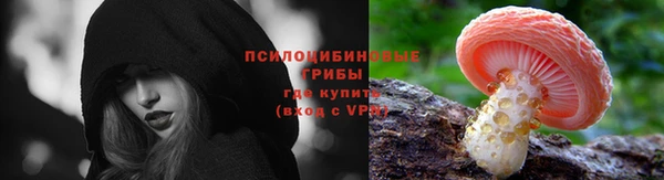прущие крисы Армянск